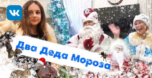 Два Деда Мороза / Обычный Дед Мороз и Снегурочка с крио-шоу и Дед Босс Мороз с акустической гитарой.