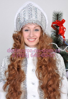 Костюмы Деда Мороза и Снегурочки -  Комплект «Боярский красно-серебристый»